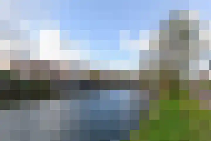 Karekiet 59 's-Gravenzande thumbnail 39