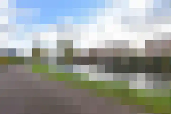 Karekiet 59 's-Gravenzande thumbnail 40