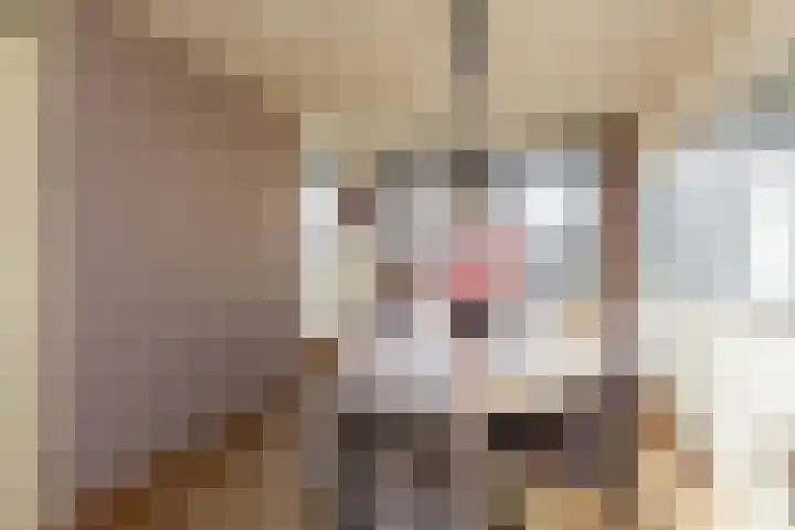 Karekiet 59 's-Gravenzande thumbnail 9