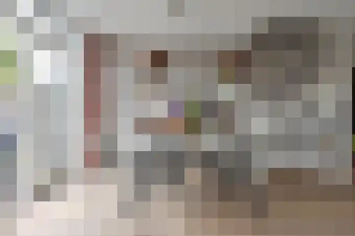 Karekiet 6 Mijdrecht thumbnail 10