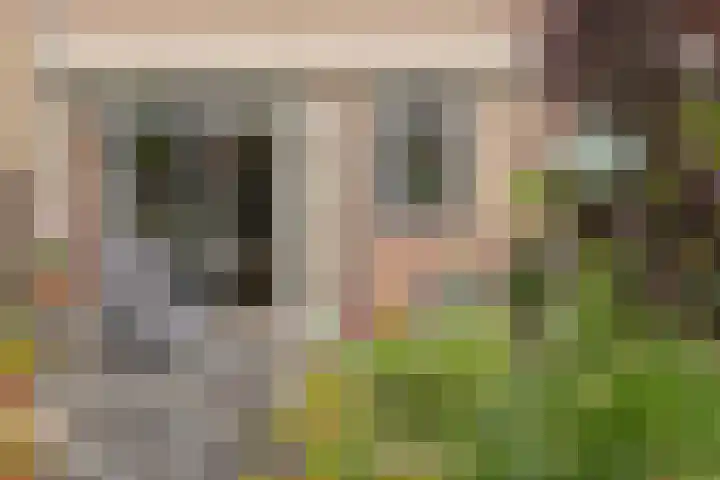 Karekiet 6 Mijdrecht thumbnail 22