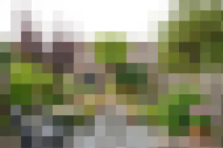 Karekiet 6 Mijdrecht thumbnail 23