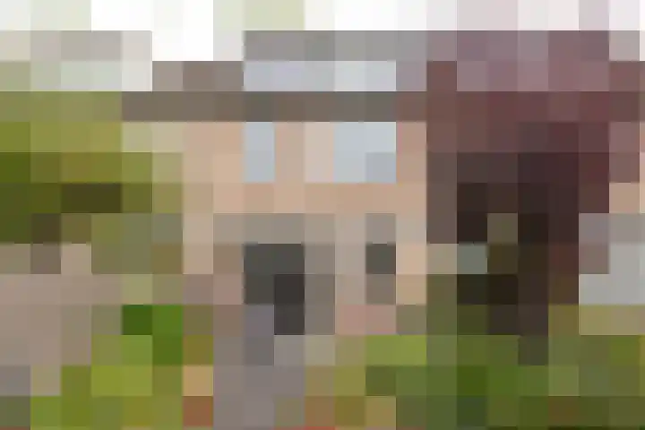 Karekiet 6 Mijdrecht thumbnail 4