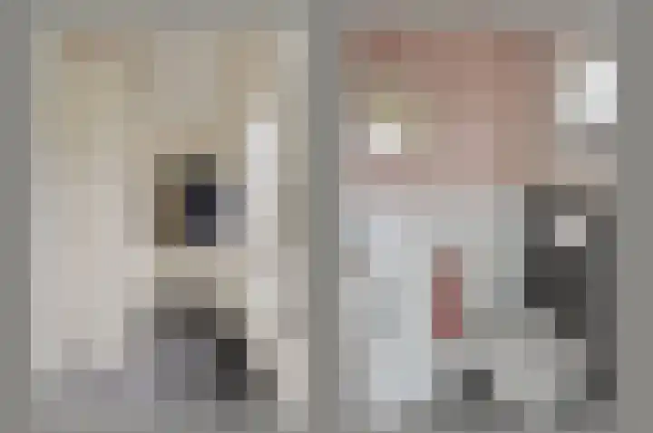 Karekiet 6 Mijdrecht thumbnail 6