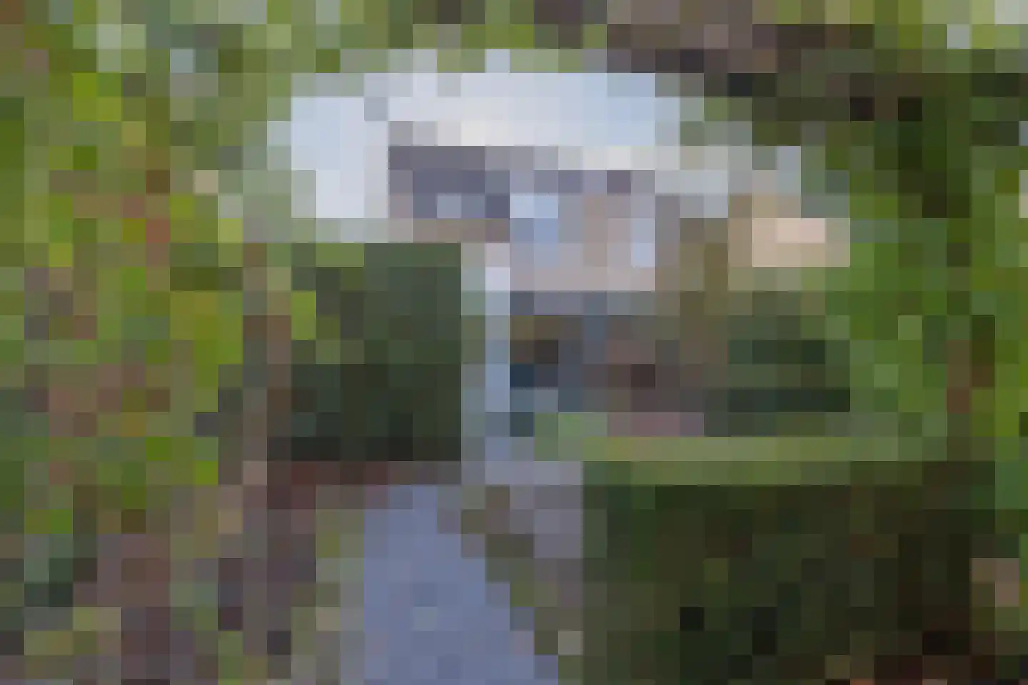 Karekiet 7 's-Hertogenbosch thumbnail 14