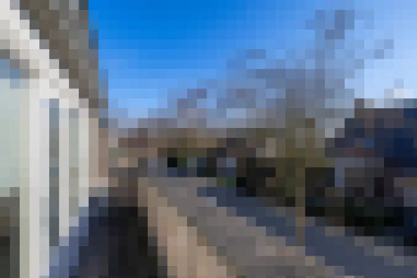 Karekiet 7 's-Hertogenbosch thumbnail 32