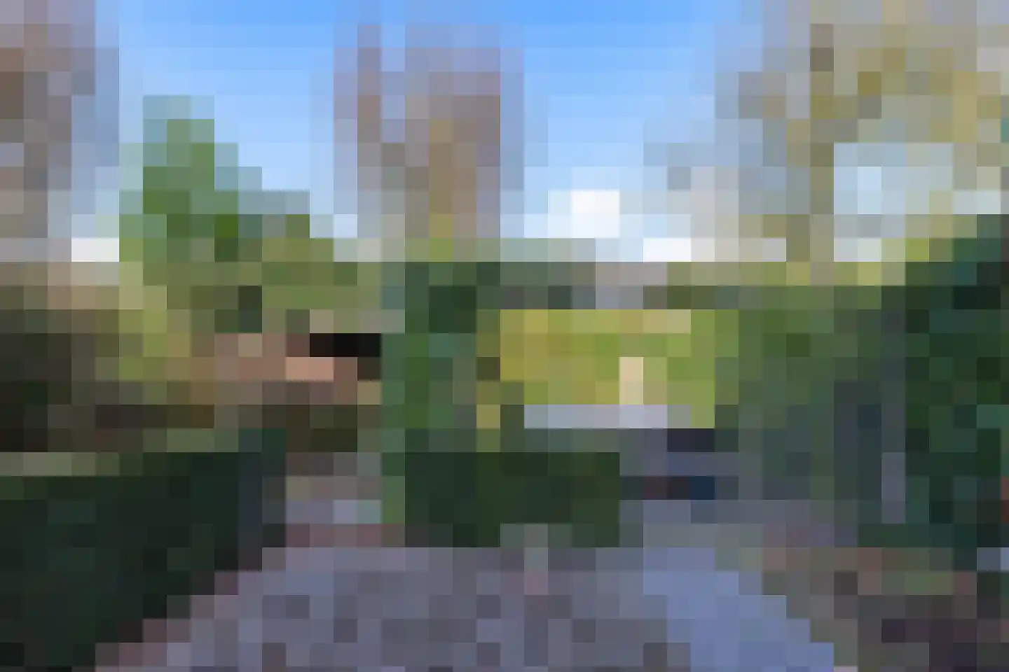 Karekiet 7 's-Hertogenbosch thumbnail 45