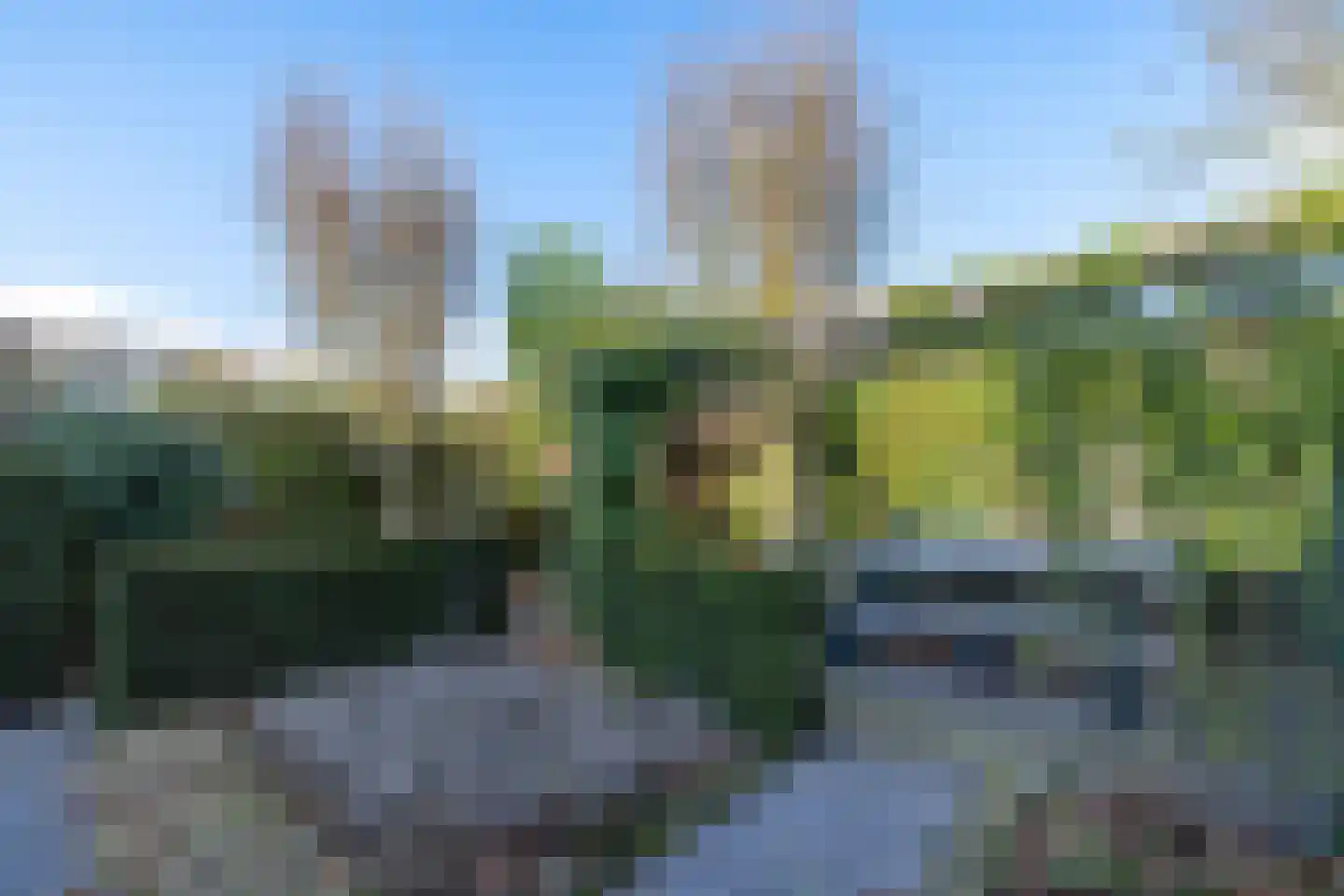 Karekiet 7 's-Hertogenbosch thumbnail 46
