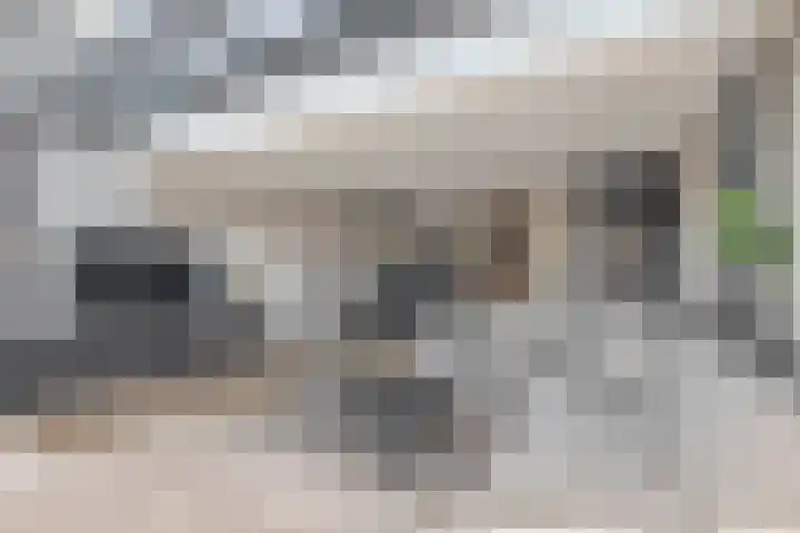 Karekiet 74 's-Gravenzande thumbnail 11