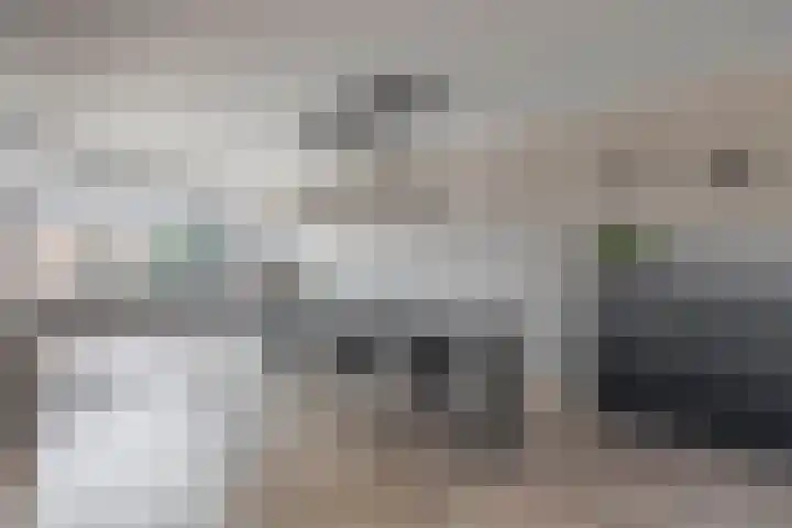 Karekiet 74 's-Gravenzande thumbnail 14