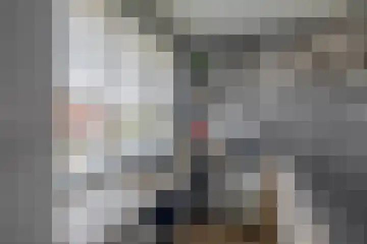Karekiet 74 's-Gravenzande thumbnail 20