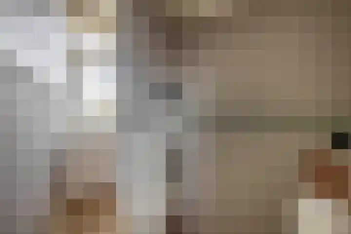 Karekiet 74 's-Gravenzande thumbnail 29