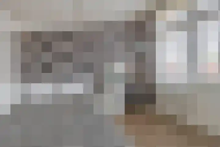 Karekiet 74 's-Gravenzande thumbnail 30