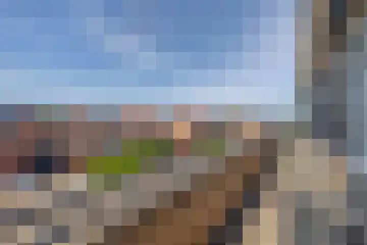 Karekiet 74 's-Gravenzande thumbnail 32