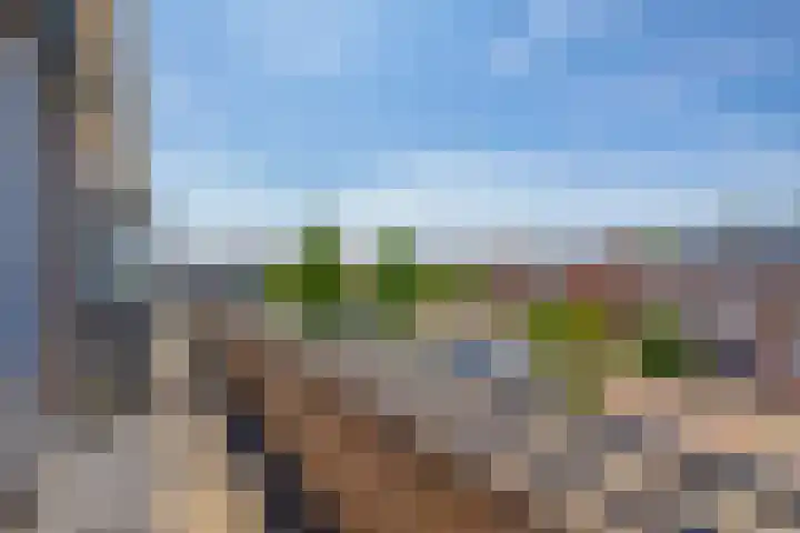 Karekiet 74 's-Gravenzande thumbnail 33