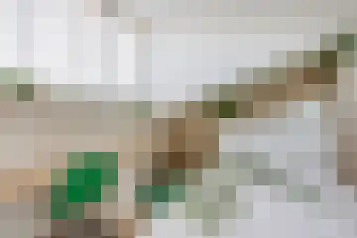 Karekiet 74 's-Gravenzande thumbnail 34