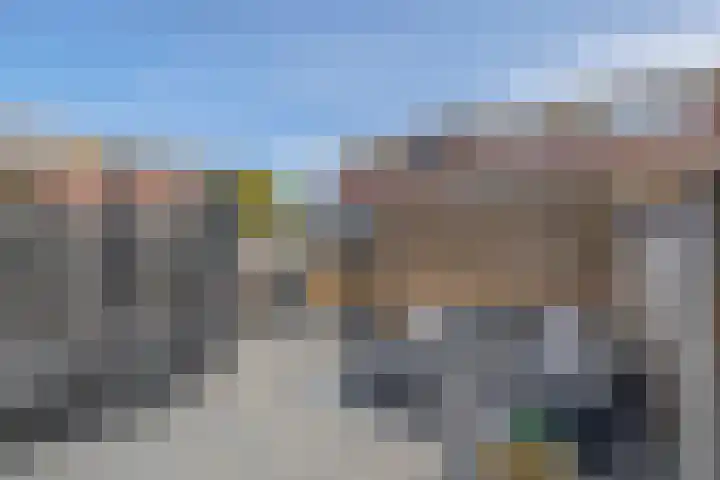 Karekiet 74 's-Gravenzande thumbnail 36