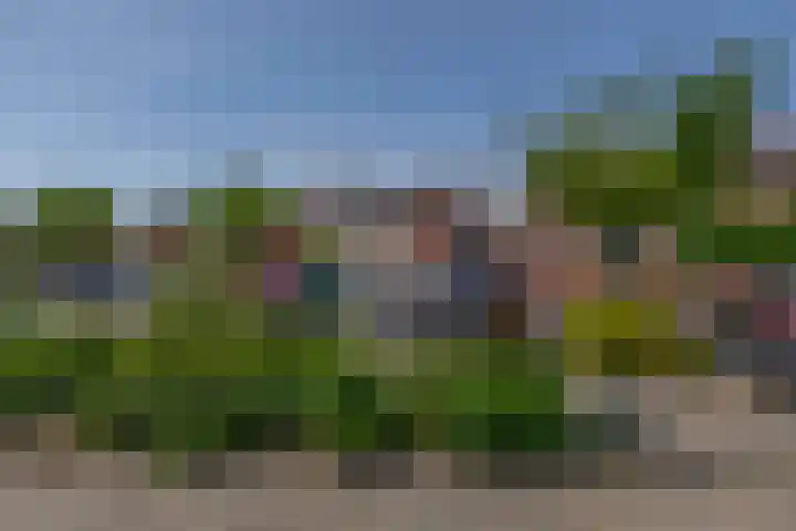 Karekiet 74 's-Gravenzande thumbnail 38
