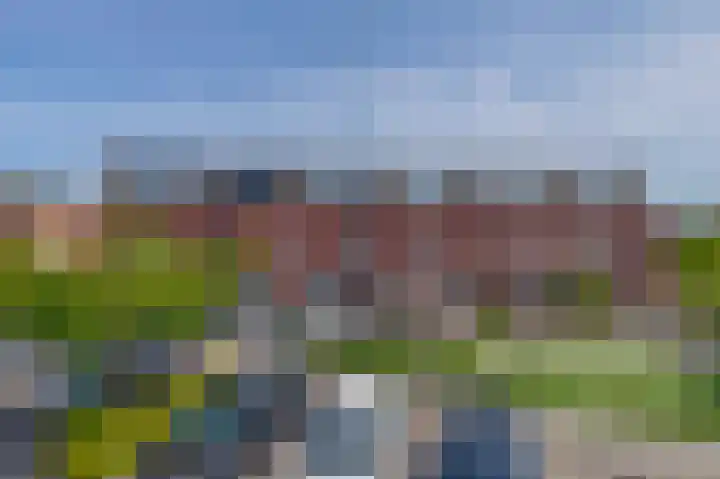 Karekiet 74 's-Gravenzande thumbnail 39