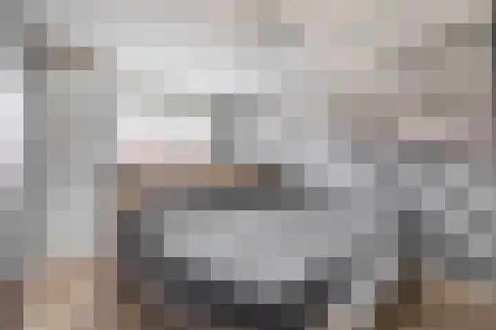 Karekiet 74 's-Gravenzande thumbnail 4