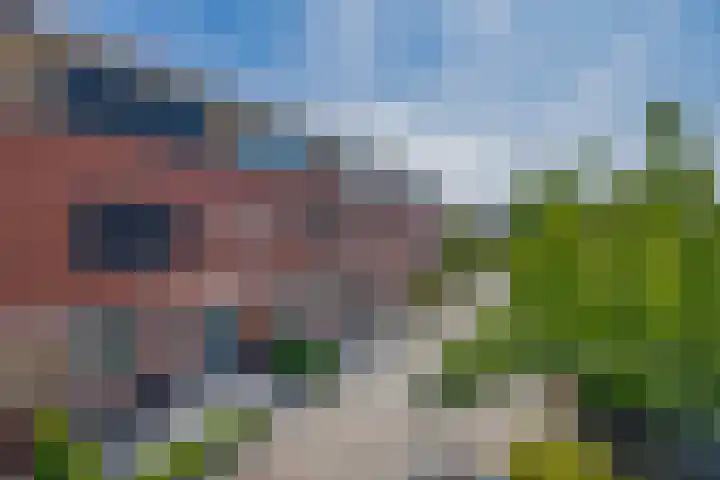 Karekiet 74 's-Gravenzande thumbnail 40