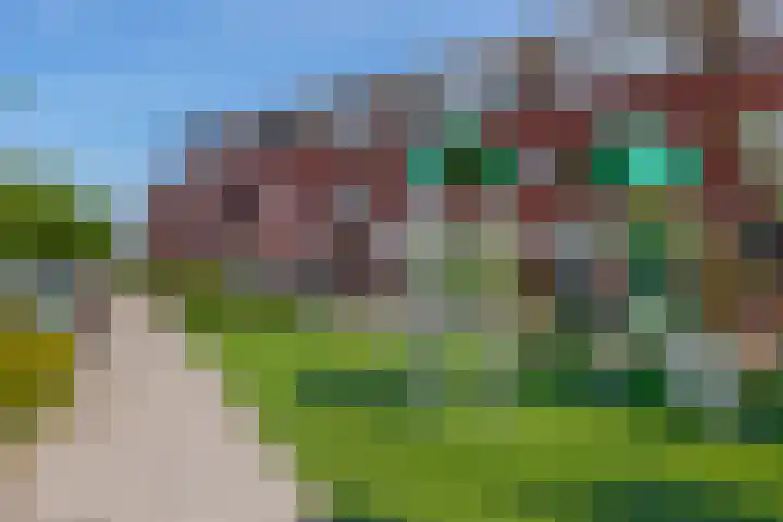 Karekiet 74 's-Gravenzande thumbnail 42