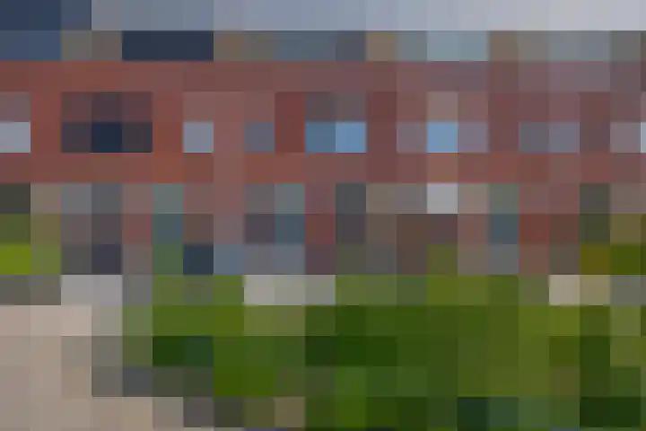Karekiet 74 's-Gravenzande thumbnail 49