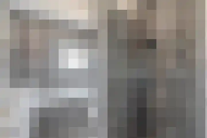 Karekiet 74 's-Gravenzande thumbnail 5