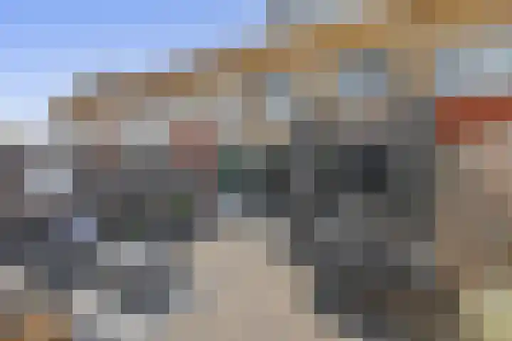 Karekiet 74 's-Gravenzande thumbnail 6