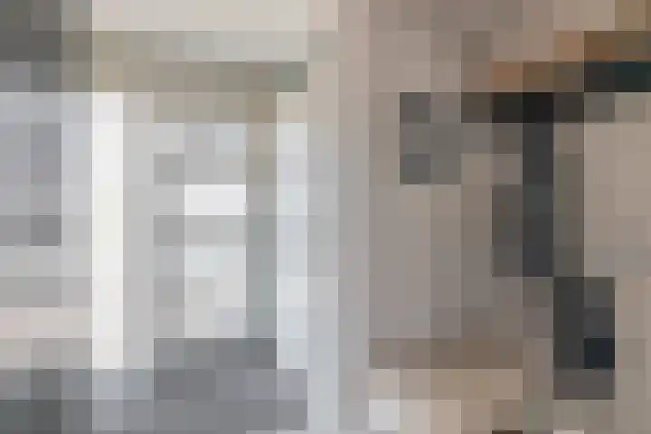Karekiet 74 's-Gravenzande thumbnail 7