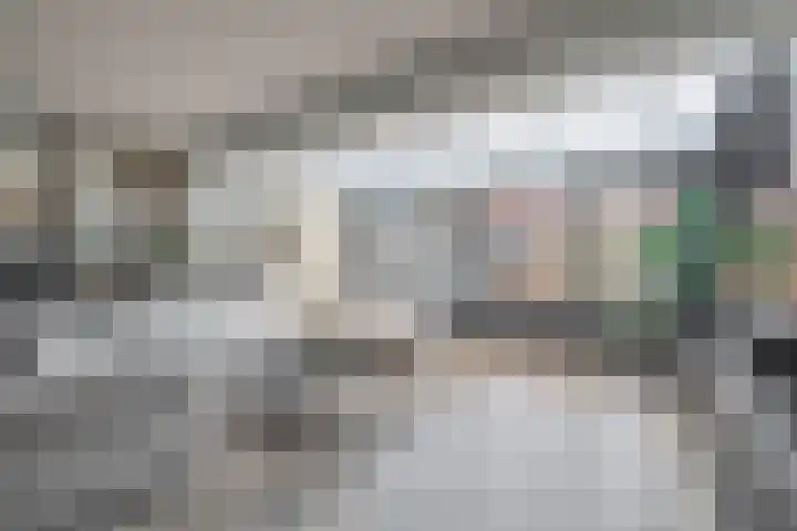 Karekiet 74 's-Gravenzande thumbnail 9