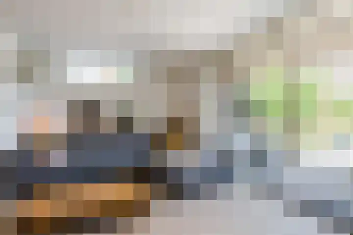 Karekiet 88 's-Gravenzande thumbnail 12