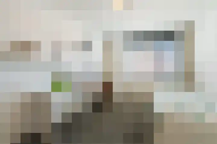 Karekiet 88 's-Gravenzande thumbnail 23