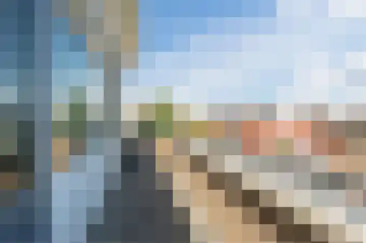Karekiet 88 's-Gravenzande thumbnail 27