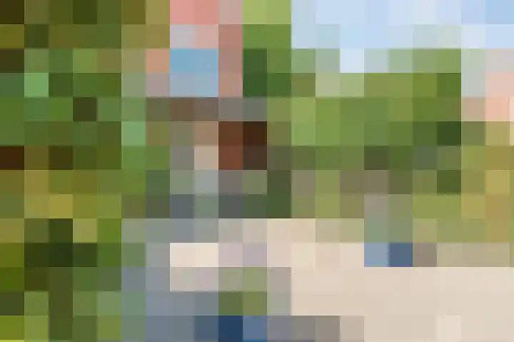 Karekiet 88 's-Gravenzande thumbnail 29