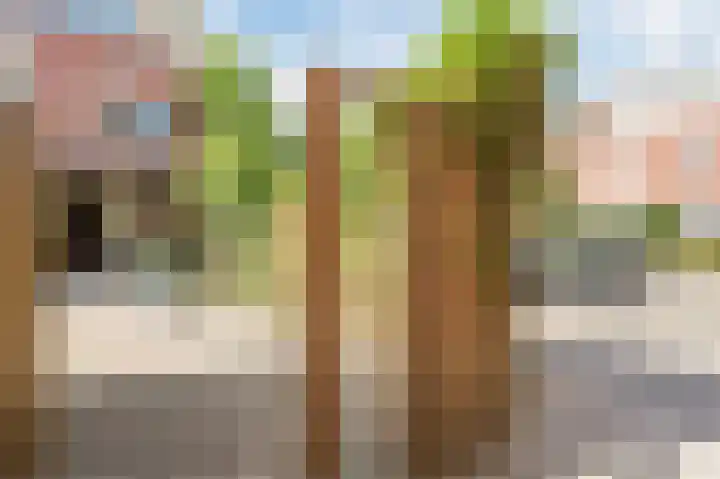 Karekiet 88 's-Gravenzande thumbnail 31