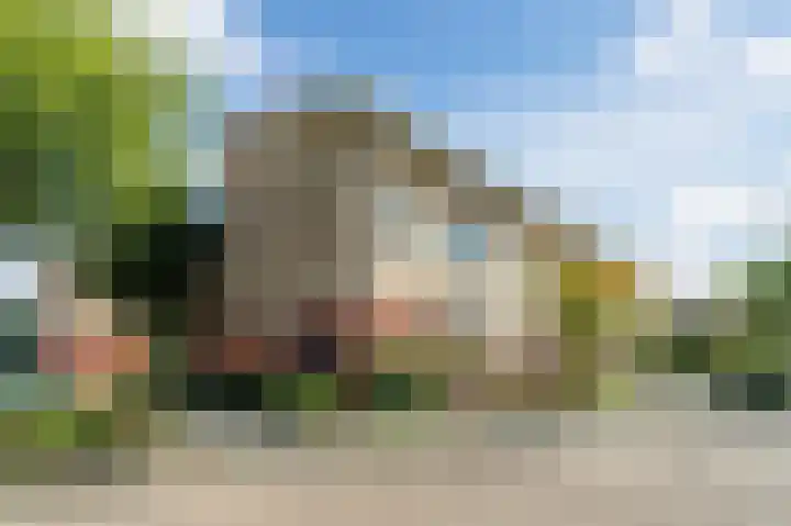 Karekiet 88 's-Gravenzande thumbnail 5