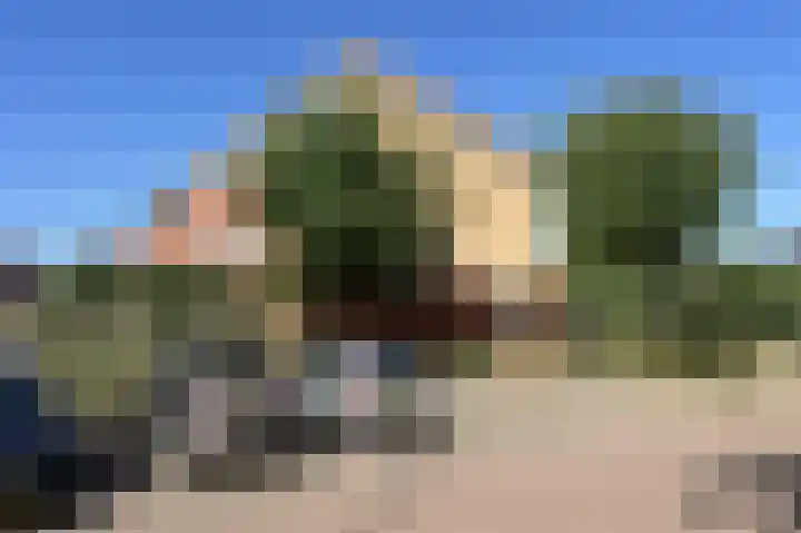 Karekiet 88 's-Gravenzande thumbnail 6