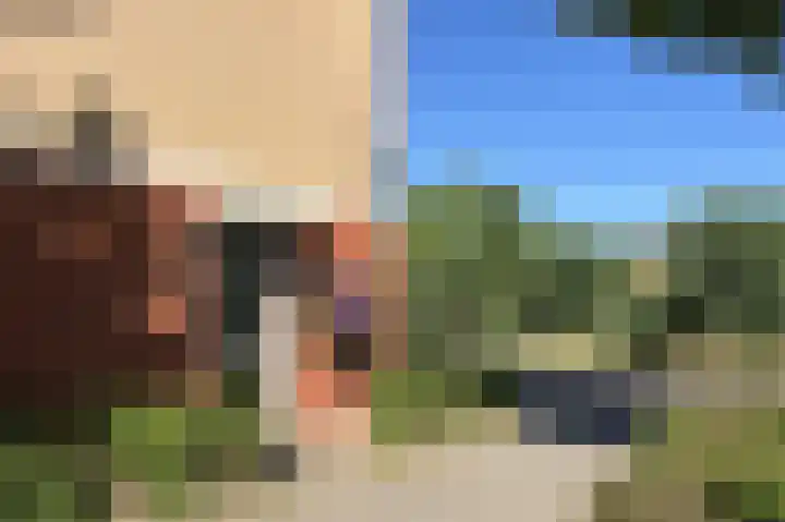 Karekiet 88 's-Gravenzande thumbnail 7