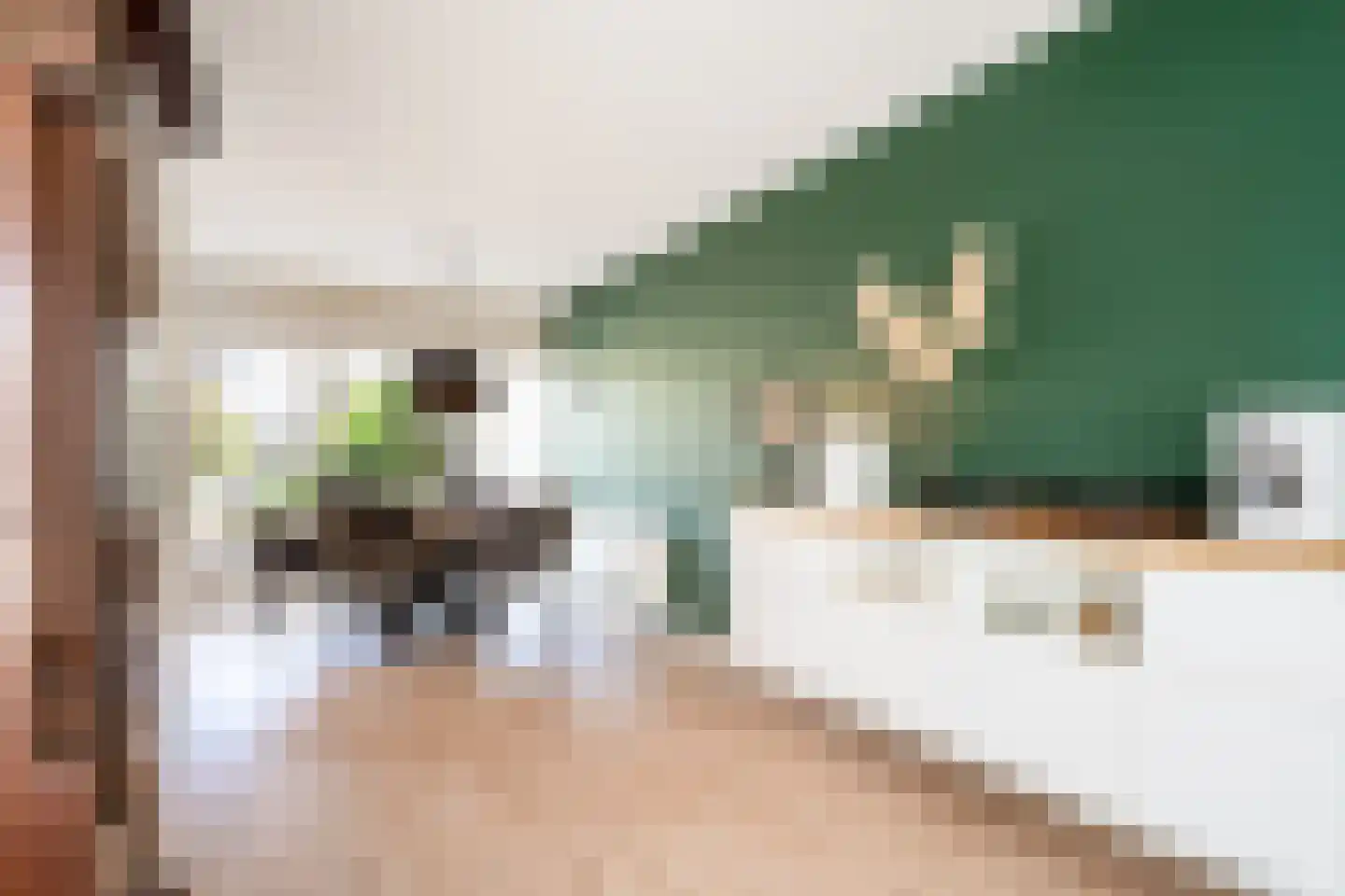 Karekiet 9 's-Hertogenbosch thumbnail 12