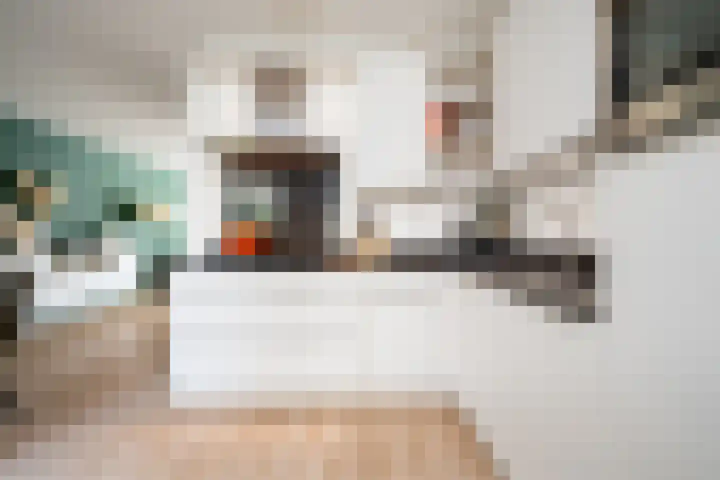 Karekiet 9 's-Hertogenbosch thumbnail 15