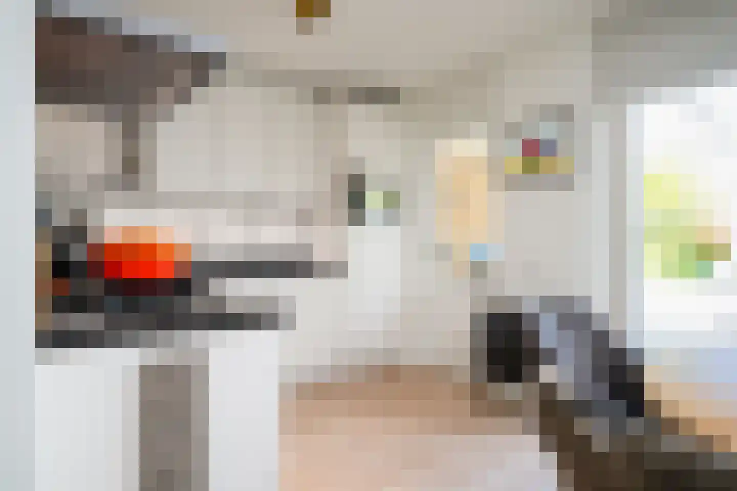 Karekiet 9 's-Hertogenbosch thumbnail 17