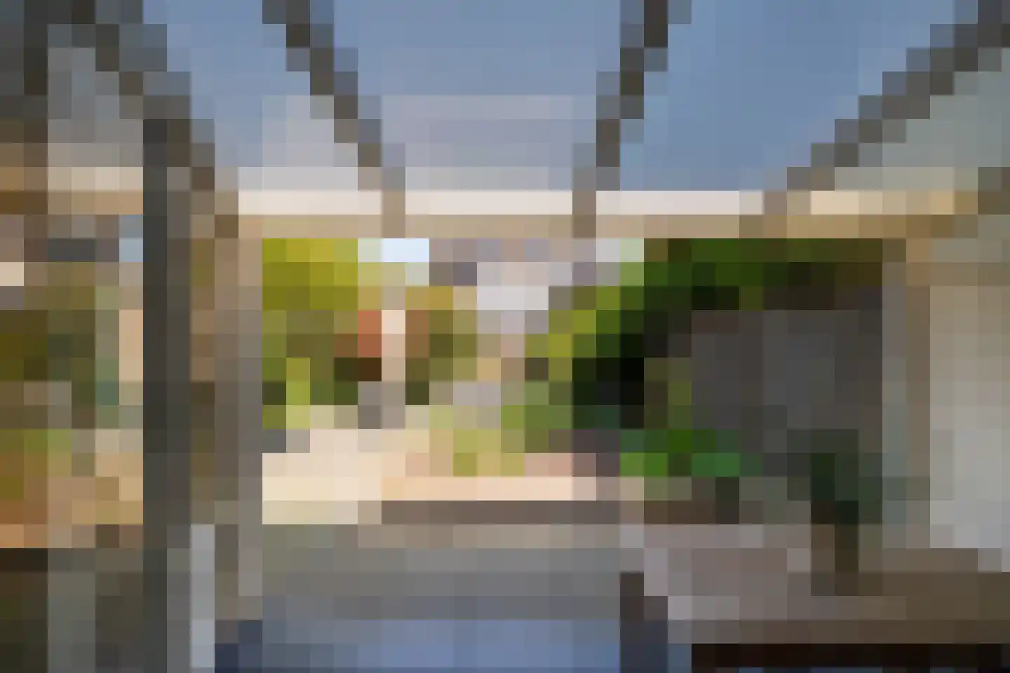 Karekiet 9 's-Hertogenbosch thumbnail 24