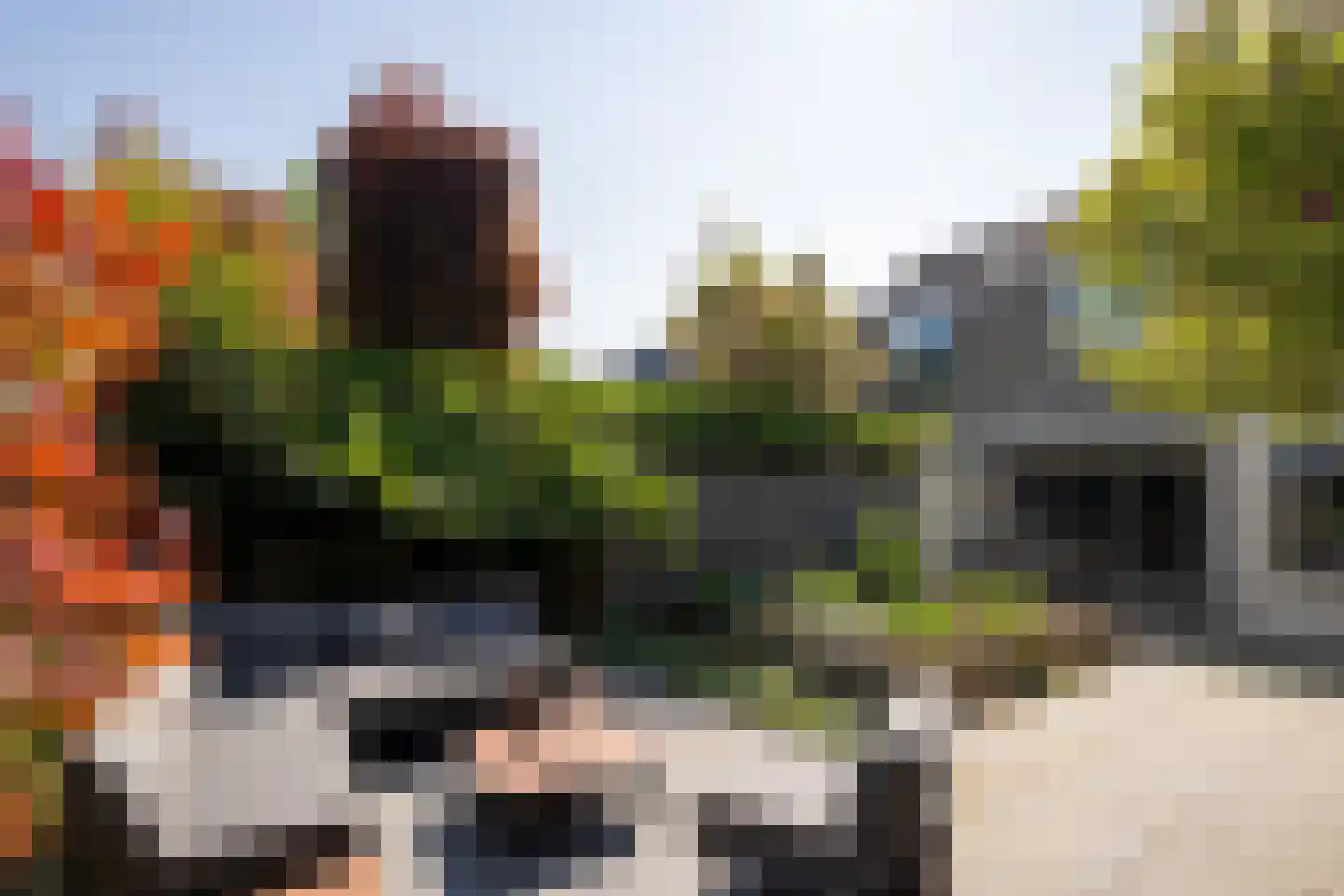 Karekiet 9 's-Hertogenbosch thumbnail 26