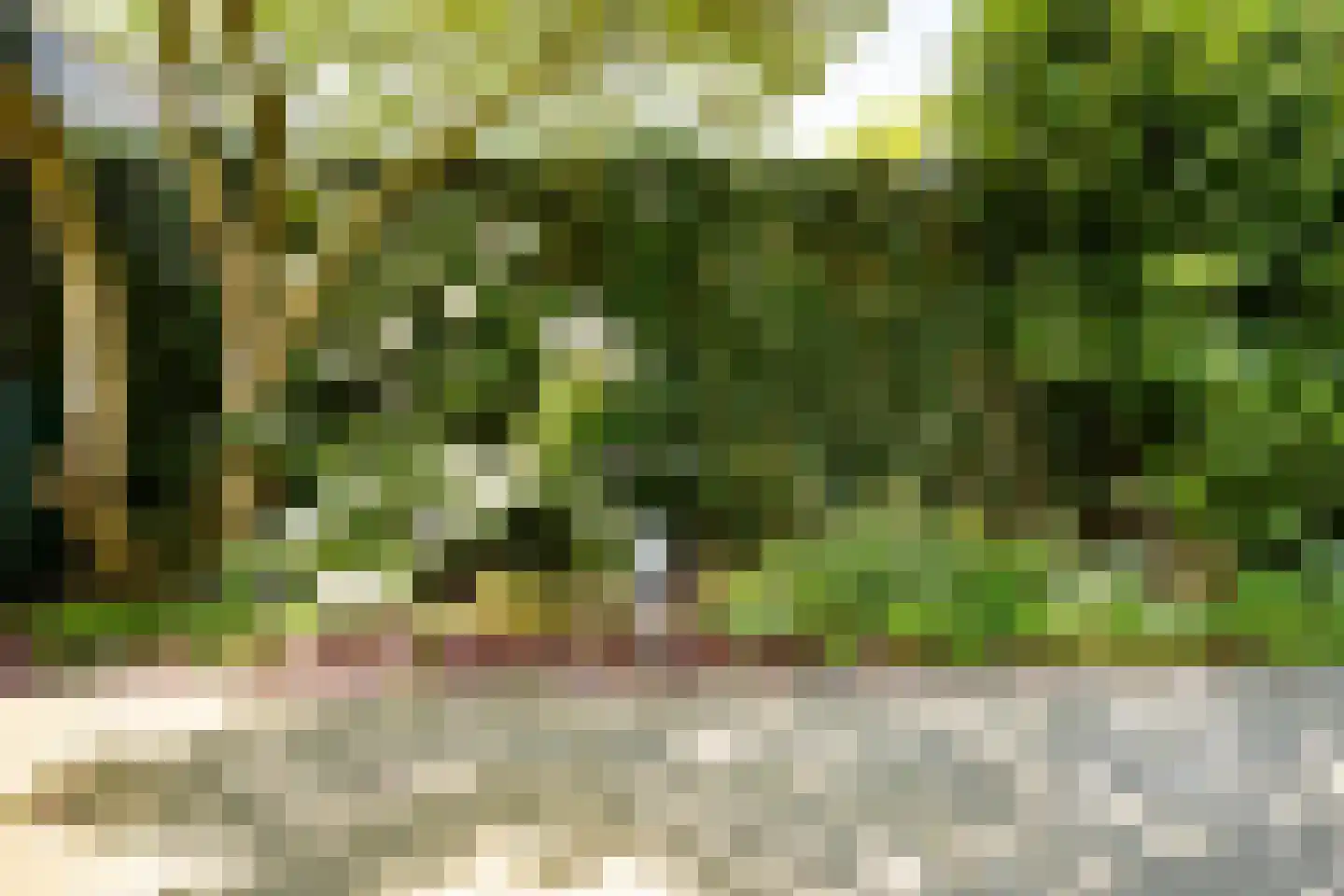 Karekiet 9 's-Hertogenbosch thumbnail 28