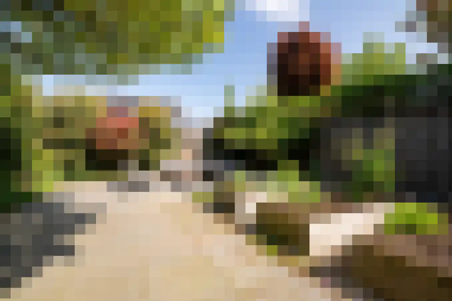 Karekiet 9 's-Hertogenbosch thumbnail 29