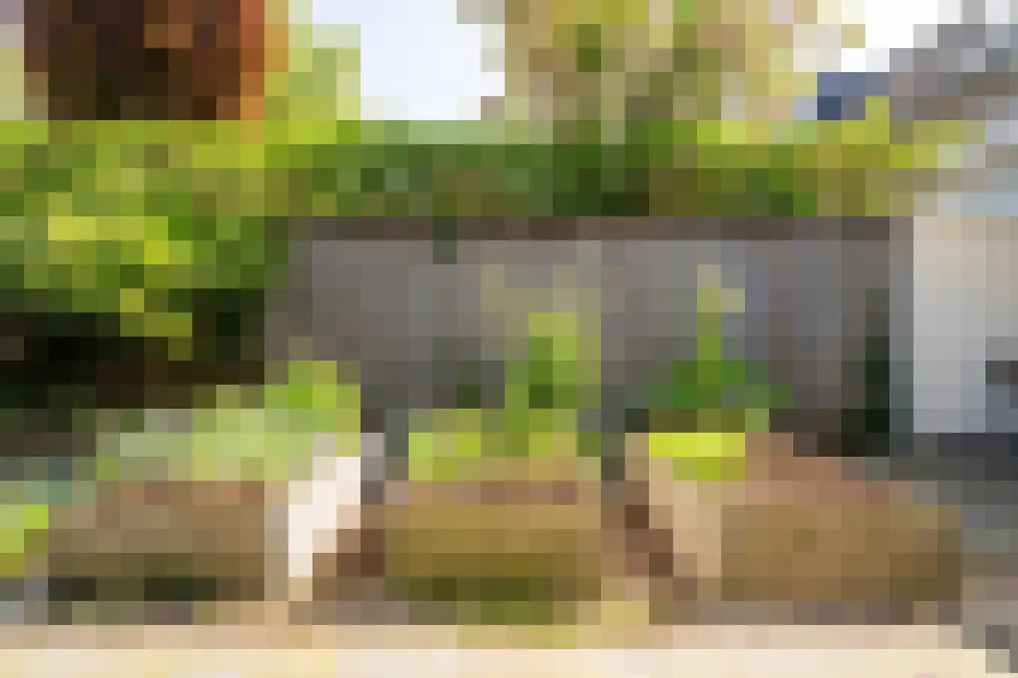 Karekiet 9 's-Hertogenbosch thumbnail 30