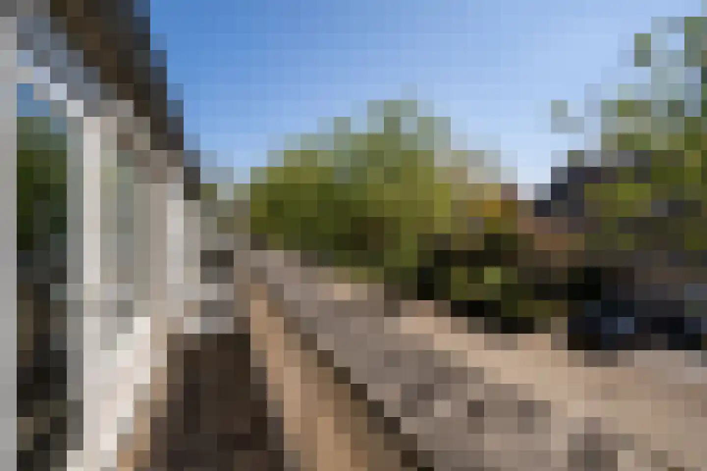Karekiet 9 's-Hertogenbosch thumbnail 37