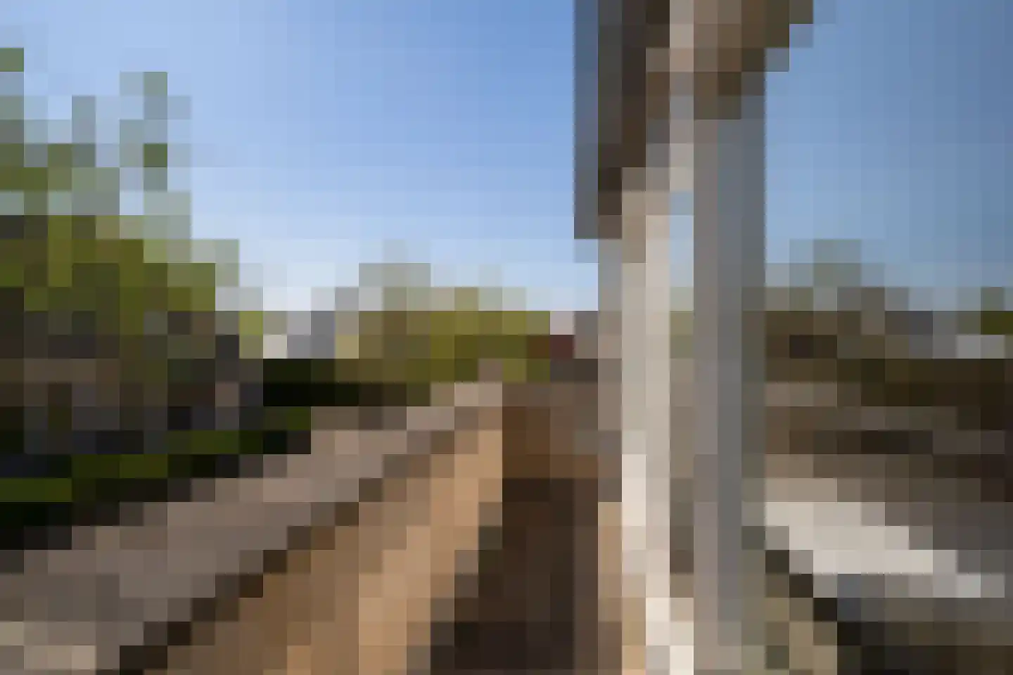 Karekiet 9 's-Hertogenbosch thumbnail 38