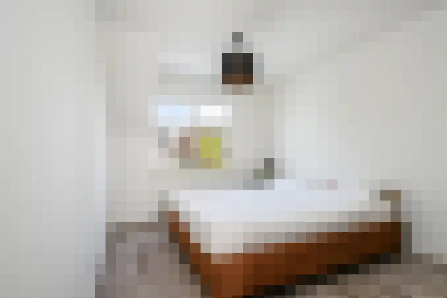 Karekiet 9 's-Hertogenbosch thumbnail 42